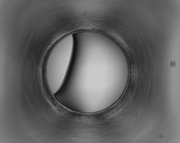 X0000101390626200807071006