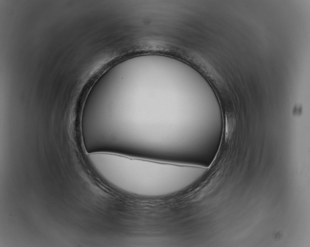 X0000101390627200807071006