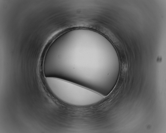X0000101390628200807071006