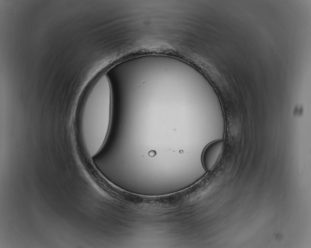 X0000101390630200807071006