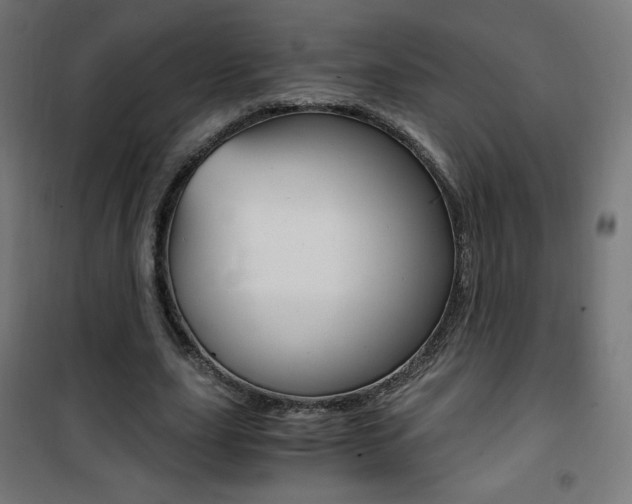 X0000101390631200807071006