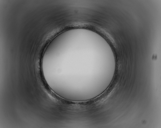 X0000101390633200807071006