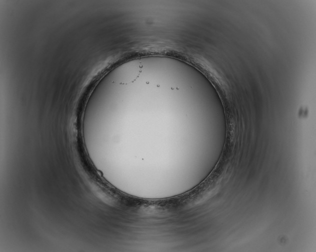 X0000101390634200807071006
