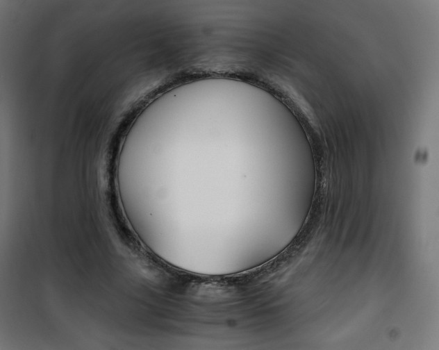 X0000101390635200807071006