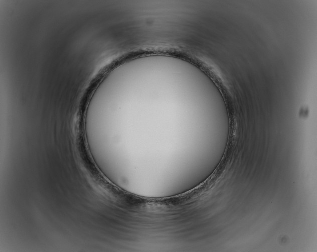 X0000101390636200807071006