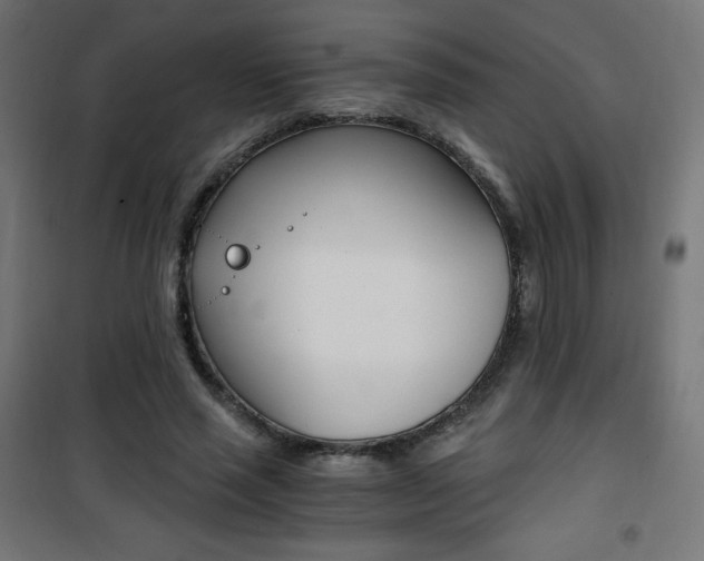 X0000101390637200807071006