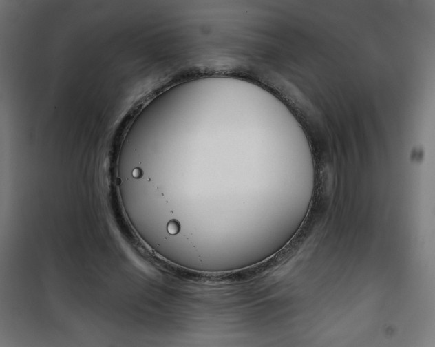 X0000101390638200807071006