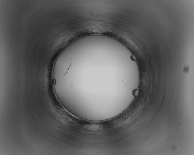 X0000101390639200807071006