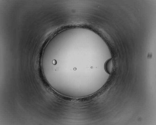 X0000101390640200807071006