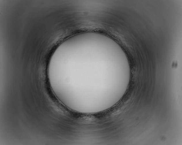 X0000101390642200807071006