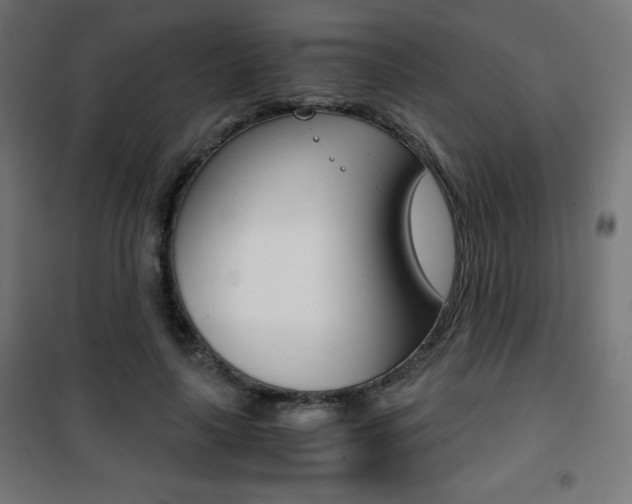 X0000101390643200807071006