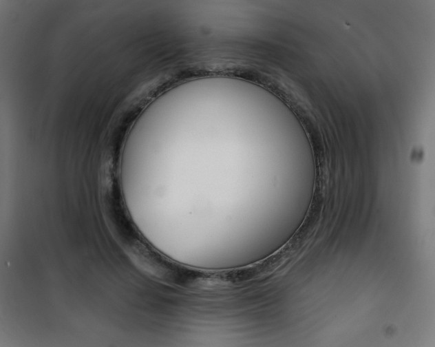 X0000101390644200807071006