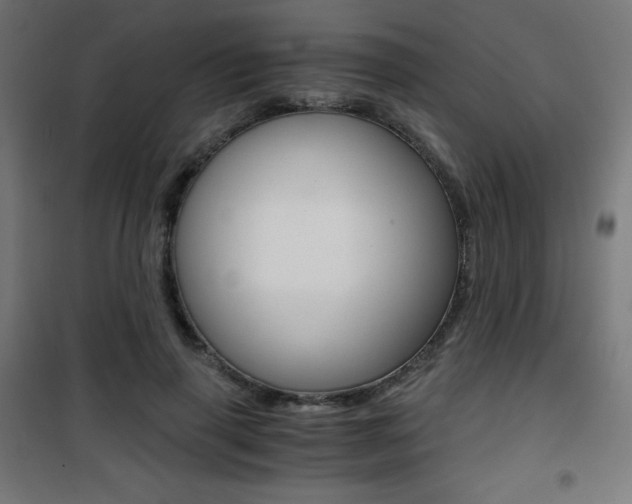 X0000101390645200807071006