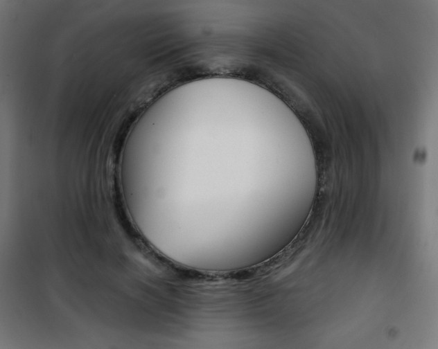 X0000101390646200807071006