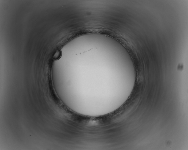 X0000101390647200807071006