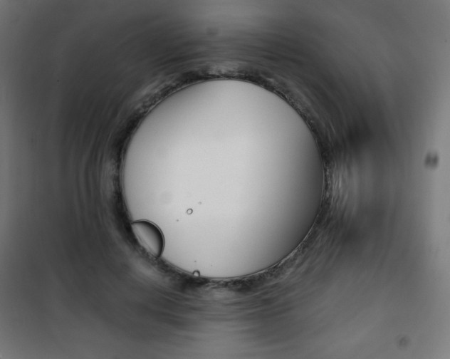 X0000101390648200807071006