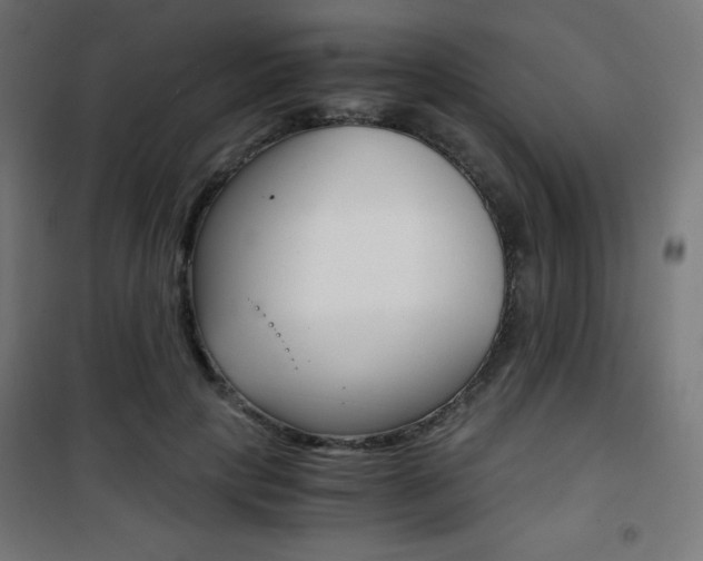 X0000101390649200807071006