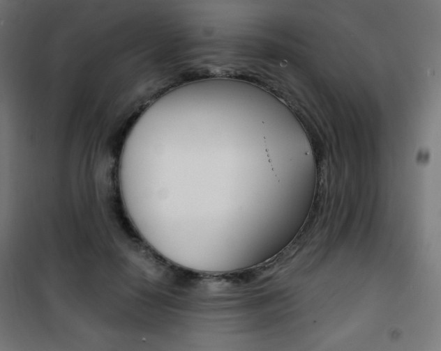X0000101390650200807071006