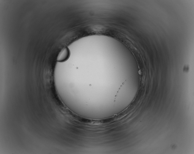 X0000101390651200807071006