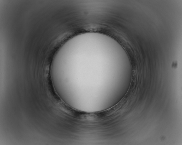 X0000101390652200807071006