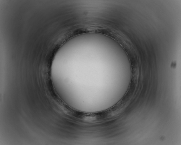 X0000101390653200807071006