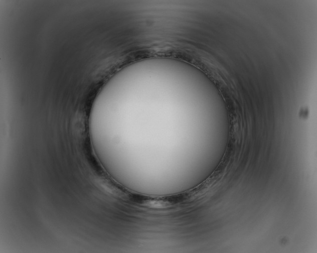 X0000101390654200807071006