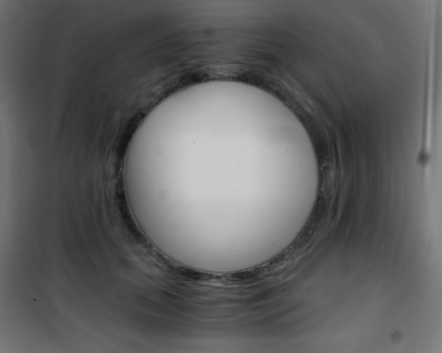 X0000101390655200807071006