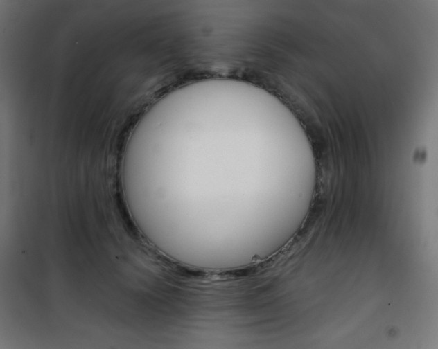 X0000101390656200807071006