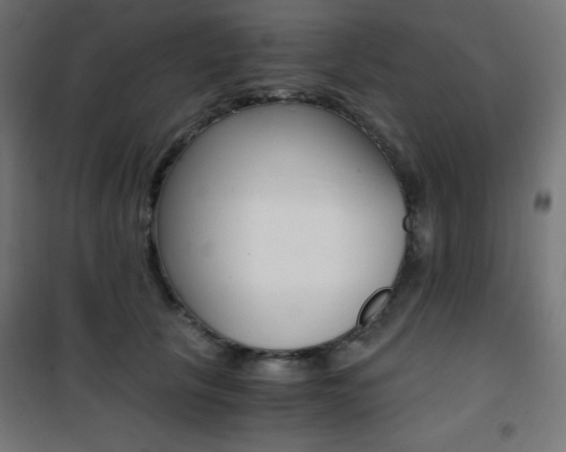 X0000101390657200807071006