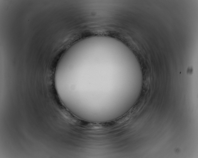 X0000101390658200807071006