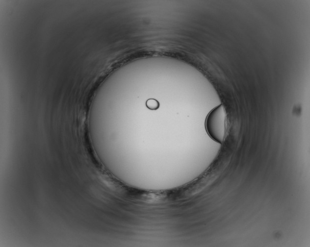 X0000101390660200807071006