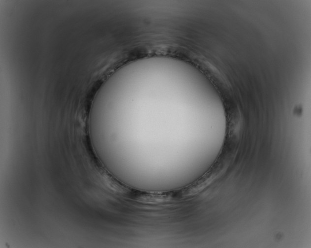 X0000101390661200807071006