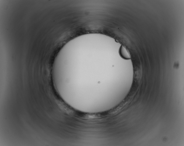 X0000101390662200807071006