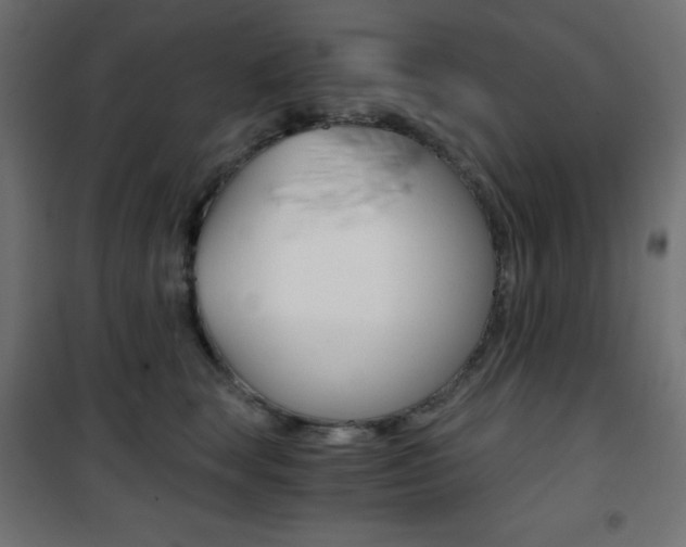 X0000101390663200807071006