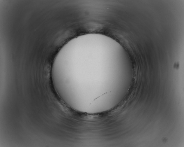 X0000101390664200807071006