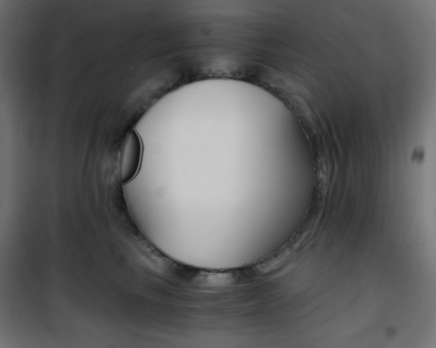 X0000101390665200807071006
