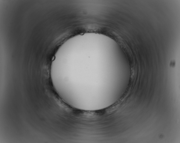 X0000101390666200807071006