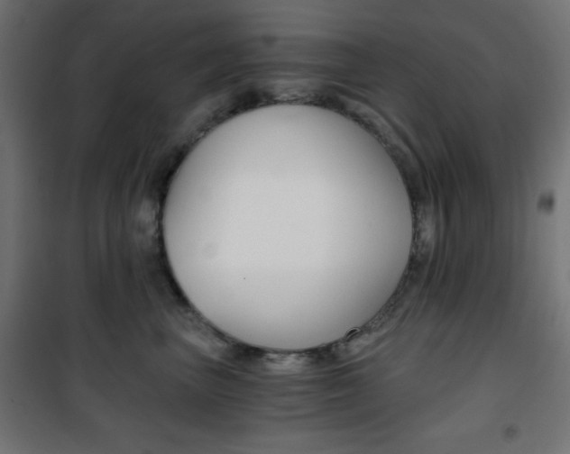 X0000101390667200807071006