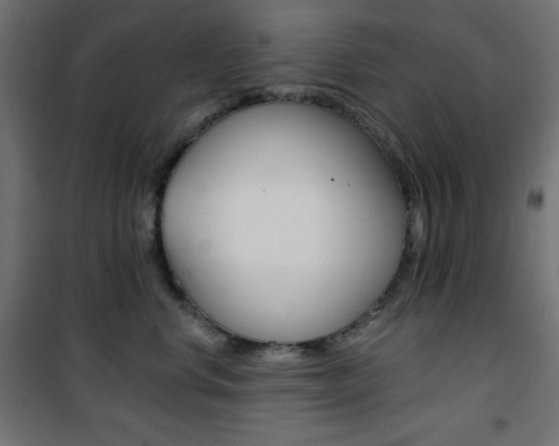 X0000101390668200807071006