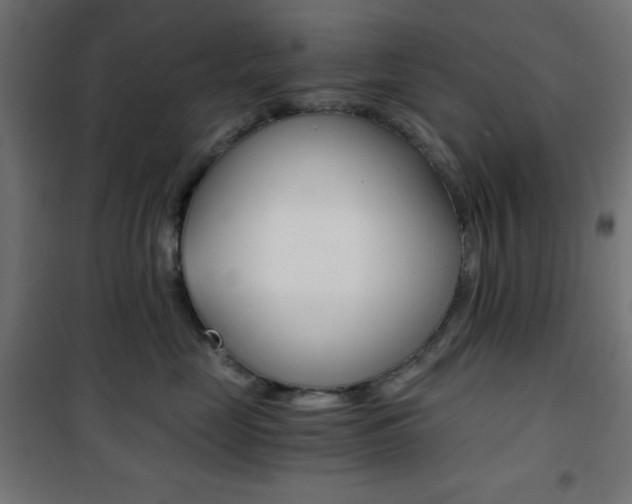 X0000101390669200807071006