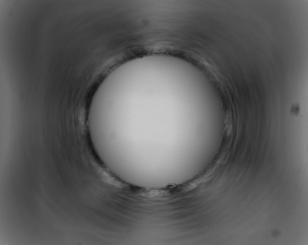X0000101390670200807071006