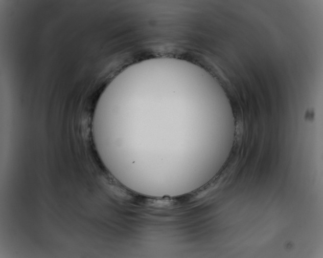 X0000101390671200807071006