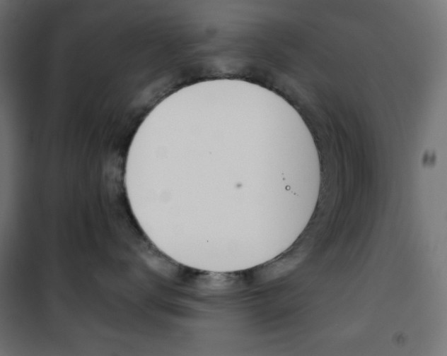 X0000101390672200807071006