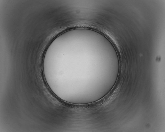 X0000101390673200807071005