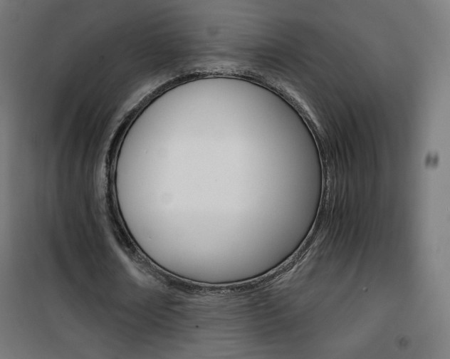 X0000101390674200807071005