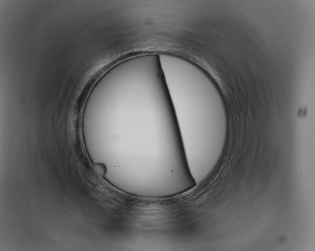 X0000101390675200807071005