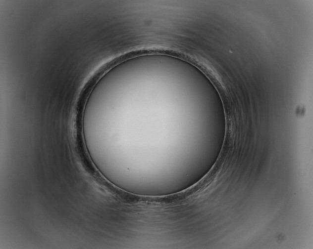 X0000101390676200807071005