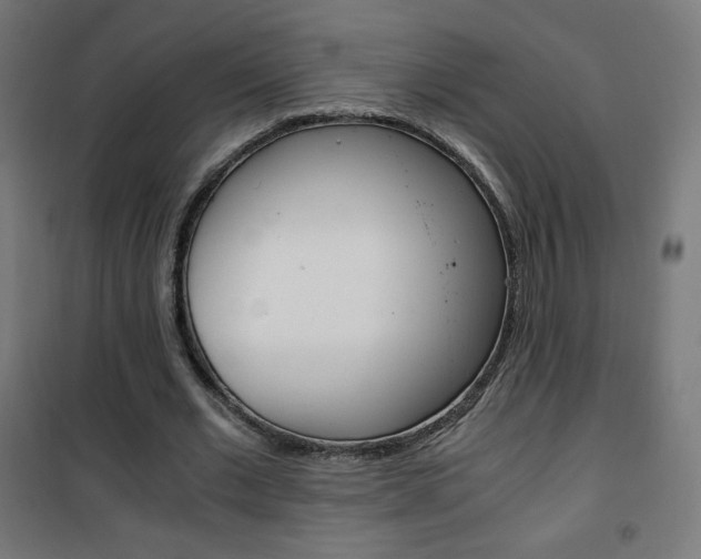 X0000101390677200807071005