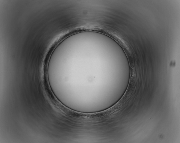 X0000101390678200807071005
