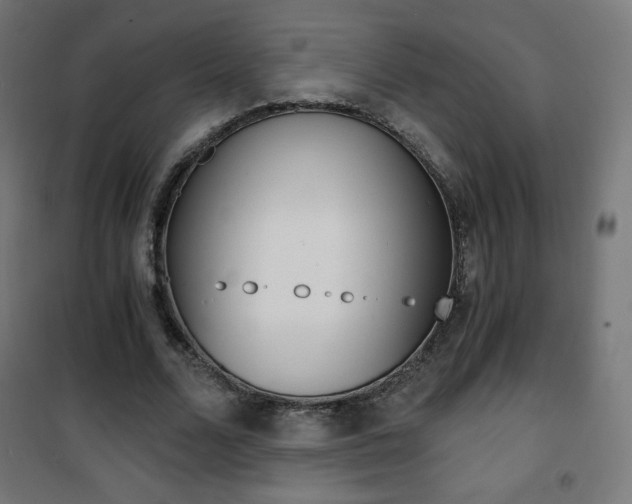 X0000101390680200807071005